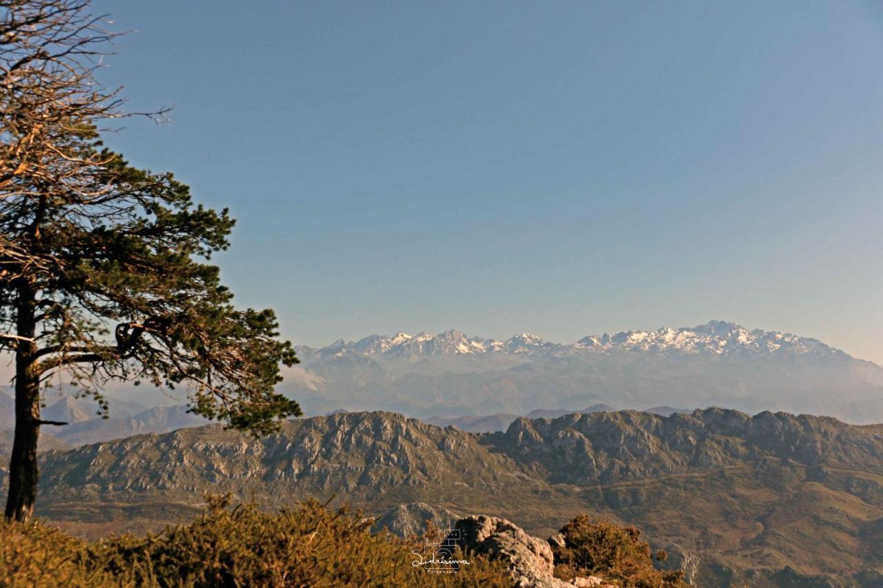 Loft Nordeste Lastres Εξωτερικό φωτογραφία